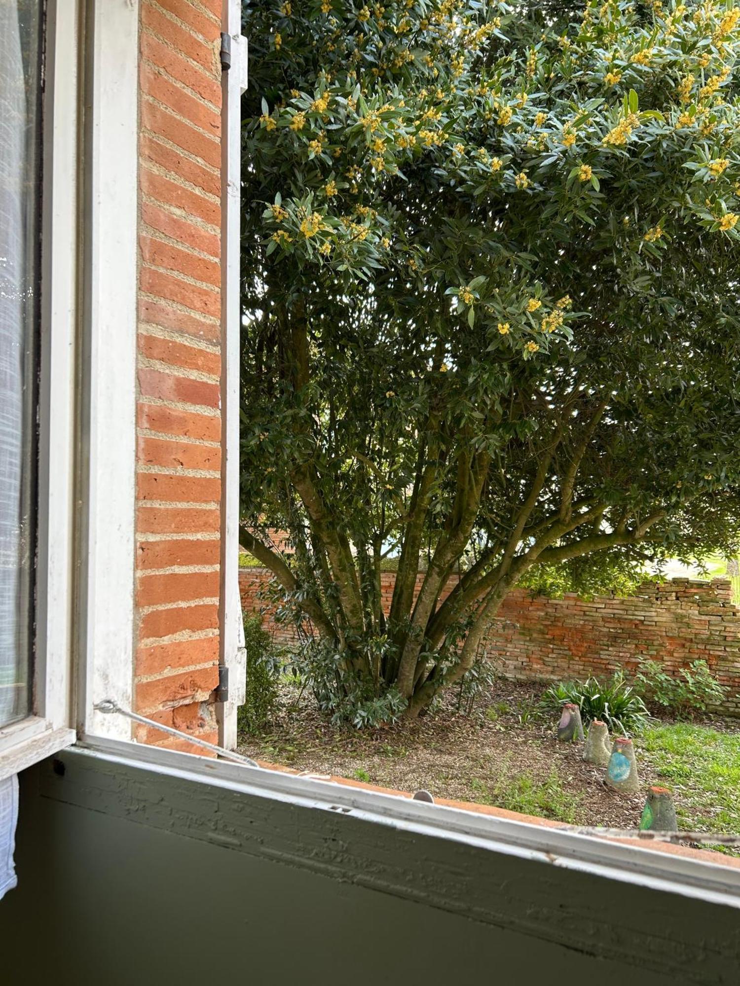Manoir De La Gravette, Maison & Table D'Hotes Montauban Buitenkant foto